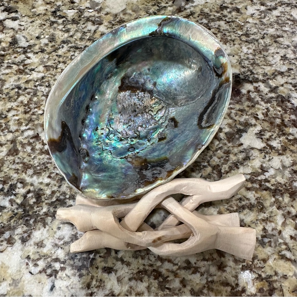 Elegant Abalone Shell Art Piece with collapsible stand ring holder trinket dish - Picture 12 of 15